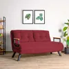 A red sofa is shown in a room with two framed pictures of leaves on the wall and a plant in a pot. Náhled obrázku produktu