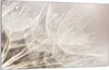 Piastra di copertura del piano cottura 80x52cm 1 pezzo in Anteprima dell’immagine prodotto 1