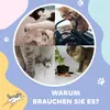 PawHut tunel dla kota, zabawka dla kota z piłką do zabawy, Podgląd zdjęcia produktu 7