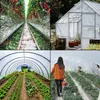 A collage of four images showing different types of greenhouses and crops. Podgląd zdjęcia produktu