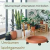 Pflanzenroller Rund Rollbrett Pflanzen Untersetzer Produktbild-Vorschau 6