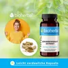 Bioherba Johanniskraut Extrakt 260 mg 100 Kapseln Produktbild-Vorschau 7
