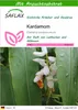 SAFLAX - Kräuter - Kardamom - 20 Samen - Mit keimfreiem Produktbild-Vorschau 1