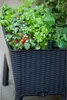 A close-up view of a raised garden bed filled with various plants, including tomatoes and herbs. Voir les images du produit