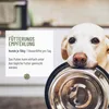 REAVET Ruheformel für Hunde - Beruhigung mit Baldrian, Produktbild-Vorschau 3