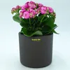 Set3 Keramik Hydro Blumentopf Madeira 09/07 grau + Produktbild-Vorschau 2