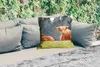 MuchoWow® Outdoor Kissen - Schottische Hochlandrind - Gras Produktbild-Vorschau 2