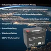 Batteria di ricambio per Invacare Butler, Leo 2x Multipower Anteprima dell’immagine prodotto 4
