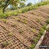 42m x 1,20m tappetino per argini per laghetti Tessuto di Anteprima dell’immagine prodotto 7