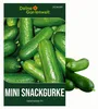Mini Snackgurke Salamanda F1 Samen - Cucumis sativus - Produktbild-Vorschau 1