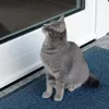 A gray cat sits on a blue doormat in front of a glass door. Anteprima dell’immagine prodotto