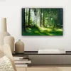 MuchoWow® - Leinwandbilder - Natur - Bäume - Wald - Grün - Produktbild-Vorschau 7