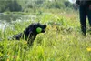 Dog Comets Hundespielzeug Meteor Wurfstock grün, Größe: L Produktbild-Vorschau 9