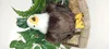Aquila di peluche 31 cm Anteprima dell’immagine prodotto 7