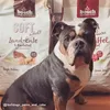 Bosch Dog HPC Soft Maxi Eau Buffalo & Patate Douce 12,5kg Voir les images du produit 5