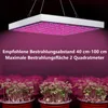 VINGO 15W LED lampa na rastliny Záhradné a skleníkové Náhľad obrázku produktu 5