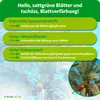 Purgrün Dattelpalme-Dünger 1 Liter, Produktbild-Vorschau 3