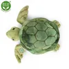 Peluche Tartaruga Acquatica 20 Cm Ecologica Anteprima dell’immagine prodotto 9