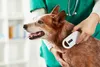 OUTPAW Tierchip Lesegerät Chipleser für Tiere RFID Chip Produktbild-Vorschau 9