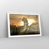 Gerahmtes Poster - Weißer Rahmen - Löwen Sonnenuntergang Produktbild-Vorschau 8