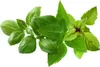 Click & Grow Plant Pod Basilikum Variety Mix 9pcs Produktbild-Vorschau 1