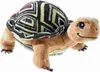 Die Schule der magischen Tiere - Schildkröte Henrietta 23 Produktbild-Vorschau 1