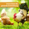 Quiko Hobby Farming Vitacombex H Multivitaminsaft für Produktbild-Vorschau 3