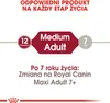 Royal Canin Adult Medium BF 4kg Zbilansowana Sucha Karma Podgląd zdjęcia produktu 12