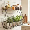 DanDiBo Kräuterregal Kücheregal Balkonregal Wand Metall Produktbild-Vorschau 1