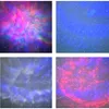 Sternenhimmel Projektor mit Lautsprecher,Galaxy Projektor Produktbild-Vorschau 8