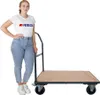 Profi Plattformwagen | HxBxT 102x60x98cm | Traglast 450kg | Produktbild-Vorschau 3