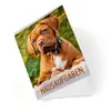 itenga Hausaufgabenheft Hund (Motiv 20) DIN A5, 96 Seiten Produktbild-Vorschau 2