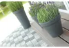 Klassischer runder Blumentopf DBC35 | Anthrazit Produktbild-Vorschau 13