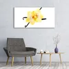Tulup Leinwand-Bilder 120x60 Wandbild Canvas Kunstdruck Produktbild-Vorschau 3
