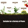 Hochbeet aus Tannenholz, Blumenbeet mit 5 Ablauflöchern, Produktbild-Vorschau 3