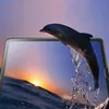 CLM-Tech Handyhülle + Panzerglas kompatibel mit Samsung Produktbild-Vorschau 5