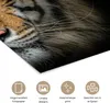 MuchoWow® Poster Tiger - Tiere - Porträt 30x40 cm - Produktbild-Vorschau 2