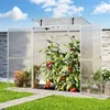 GFP szklarnia EMMA szklarnia na pomidory 147 x 73 x 173 cm Podgląd zdjęcia produktu 2