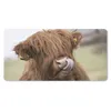 MuchoWow® Schreibtischunterlage Schottischer Highlander - Produktbild-Vorschau 1