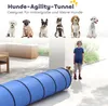Tunel do agility dla psów PawHut 300 x 50 cm z 4 kotwami Podgląd zdjęcia produktu 4