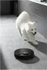 A white Samoyed dog stands on a gray floor in a modern kitchen with gray cabinets. A black robot vacuum cleaner is on the floor in front of the dog. Podgląd zdjęcia produktu