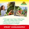 Neudorff Spruzit SchädlingsSpray 400 ml Produktbild-Vorschau 4