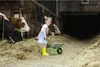 A young girl is pushing a wheelbarrow in a barn with cows in the background. Produktbild-Vorschau