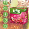 LOYD thé aux fruits framboise et fraise 20 sachets Voir les images du produit 4
