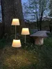 LED-Solar-Dekoration 'Solini', 30/50/90 cm, Edelstahl/Weiß Produktbild-Vorschau 16