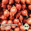 Samenliebe  Tomate Samen | Piennolo del Vesuvio - rot & Produktbild-Vorschau 4