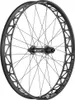 Roue DT Swiss BR 2250 Classic pour fatbike 26 pouces, noire Voir les images du produit 1