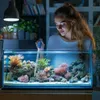 Kruger Meier EclipseGlen - pipette d'aquarium 45 cm Voir les images du produit 5