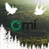 Orni 100 Stück Meisenknödel ohne Netz mit Insekten & Produktbild-Vorschau 7