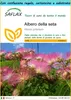 SAFLAX Set regalo - Albero della seta - 50 semi - Albizia Anteprima dell’immagine prodotto 1